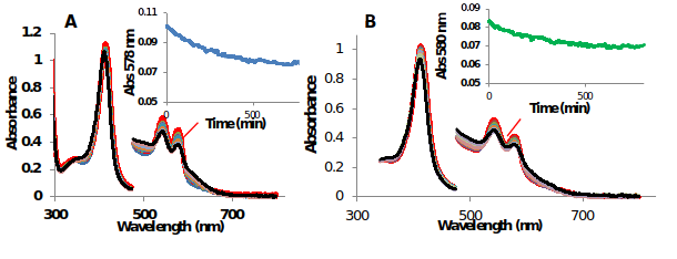 UV-Vis spectra of the autoxidation of oxyMtHb1 and oxyMtHb2 at pH 7 at room temperature