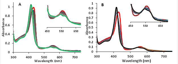 The reaction between nitrite and deoxyhemoglobins MtHb1 and MtHb2. (A) UV-Vis spectra of deoxyMtHb1 during oxidation by 0.5 mM nitrite in 100 mM phosphate buffer at pH 7.4 and 25°C. (B) UV-Vis spectra of deoxyMtHb2 during oxidation by 0.5 mM under the same conditions.