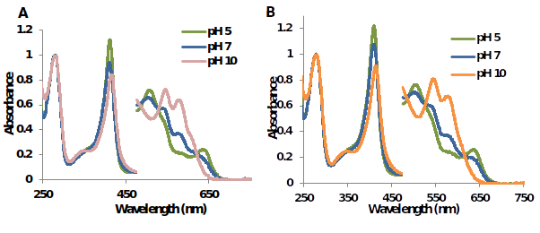 UV-Vis spectra of metMtHb1 and metMtHb2 in 50mM phosphate buffer at pH 5 pH 7 and pH 10. In both cases, at pH 5 predominant species is (Fe(III)-H2O); at pH 7 there is a mixture of the both species (Fe(III)-H2O) and (Fe(III)-OH); and at pH 10 predominant species is (Fe(III)-OH).