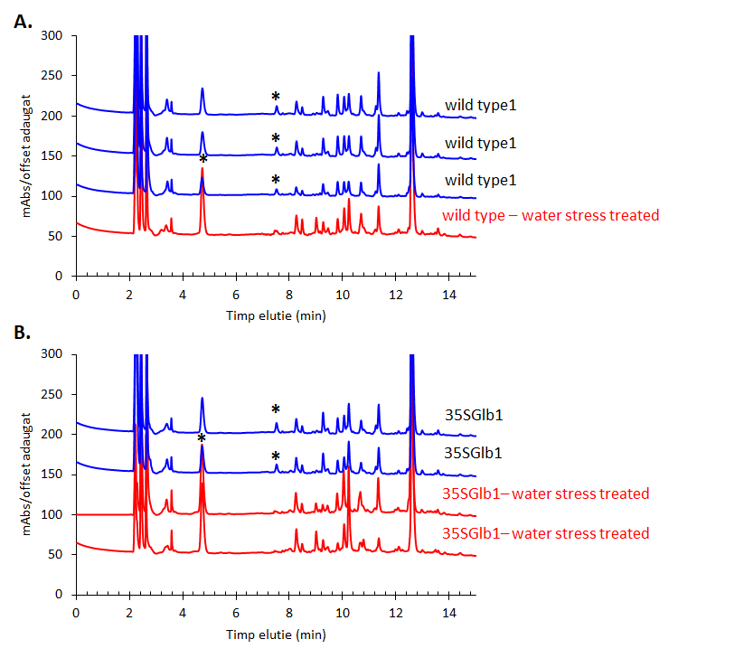 HPLC-DAD chromatogram of the methanolic extracts of the studied plants monitored at 242 nm. Metabolites that appear in higher amount in the treated samples than in the untreated ones are indicated using star (*).