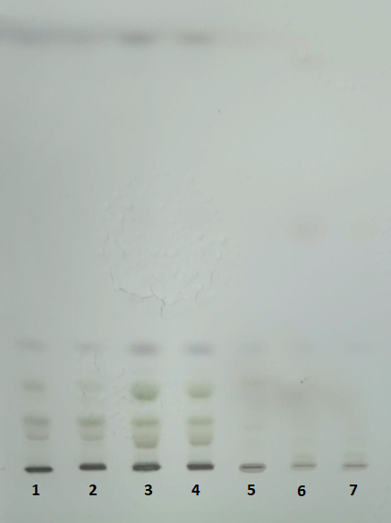 HPTLC plate (10 x 10 cm, Silicagel 60) after separation of the lipids extracted samples (wild type) using t-butyl-methyl ether (1,2), chloroform (3,4) and isopropanol (5,6,7).