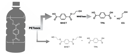 A close-up of a water bottle

AI-generated content may be incorrect.